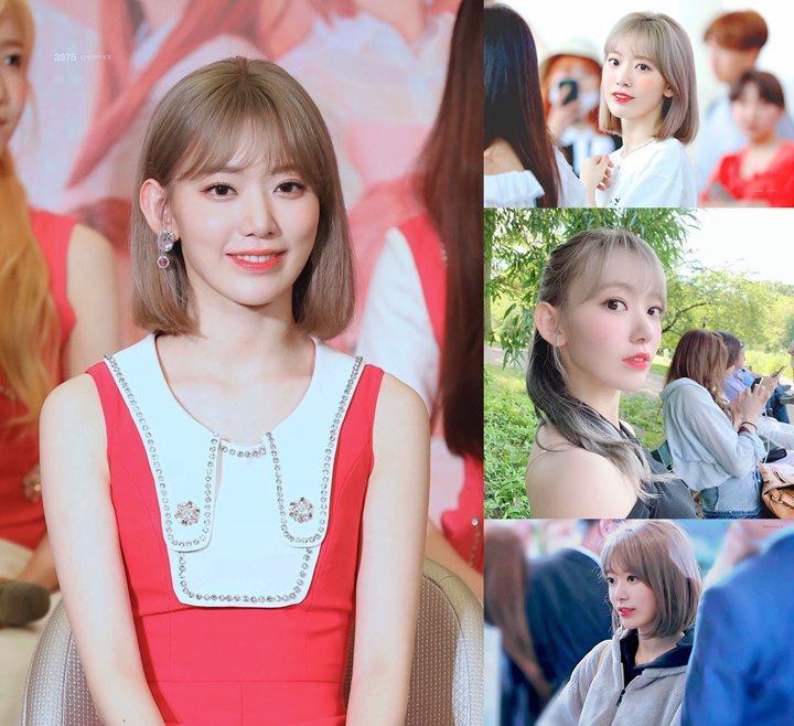 Sakura IZ