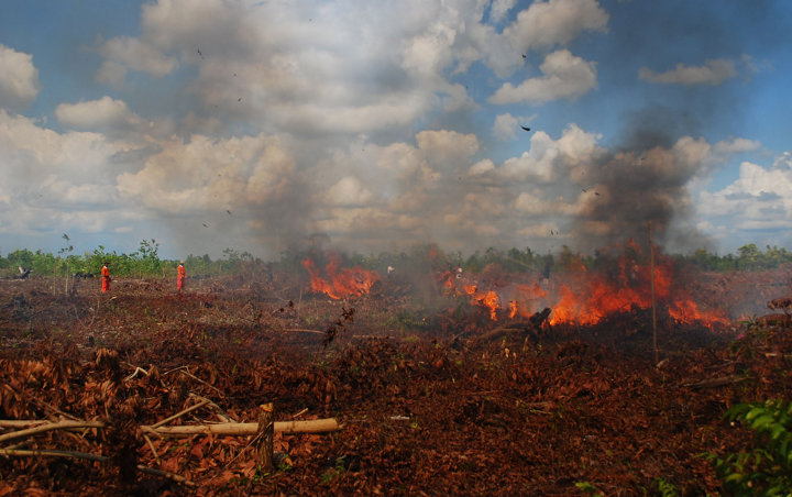 Amien Rais 'Heran' Usai MA Putuskan Jokowi Kalah Kasasi Kebakaran Hutan
