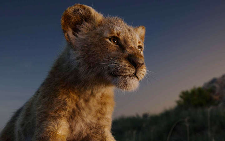 'The Lion King' Berhasil Pecahkan Rekor Box Office, Susul 'Avengers: Endgame' Hingga 'Aladdin'