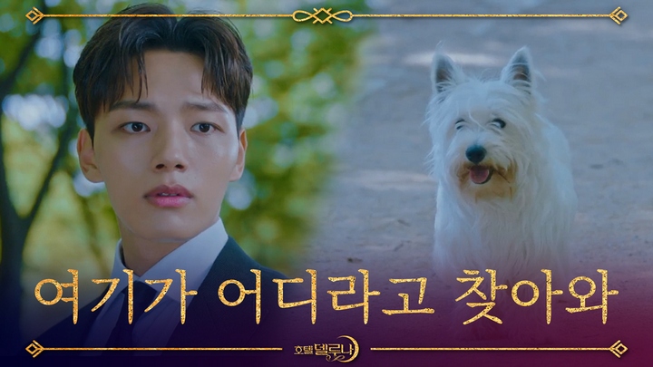 Kisah Anjing dan Kakek di \'Hotel Del Luna\' Sukses Bikin Netizen Mewek