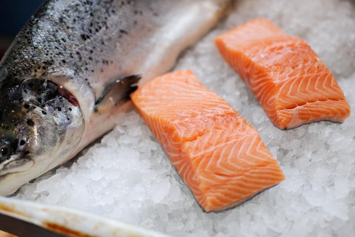 Salmon Yang Memiliki Kandungan Omega 3 Tinggi Bisa Cegah Anak Cepat Sakit