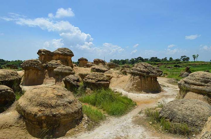 Kunjungi Bukit Jamur di Gresik yang Tawarkan Pemandangan Super Unik