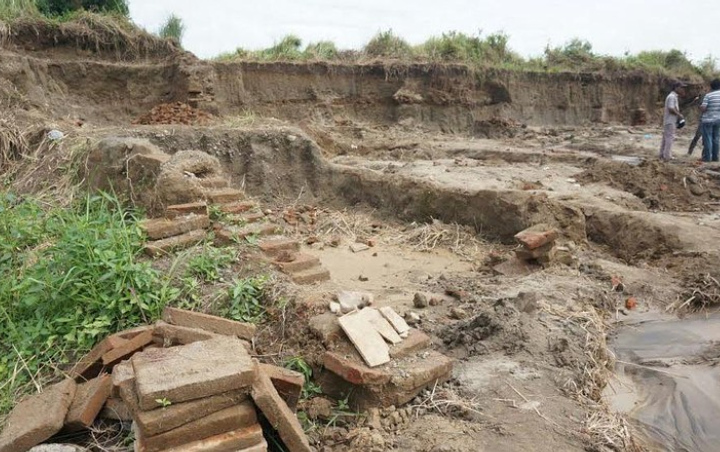 Tertanam Di Bawah Pohon, Struktur Bata yang Diduga Situs 
