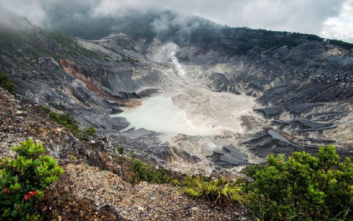 Gunung Tangkuban Parahu Erupsi, Pusat Vulkanologi Tetapkan Radius Aman 500 Meter