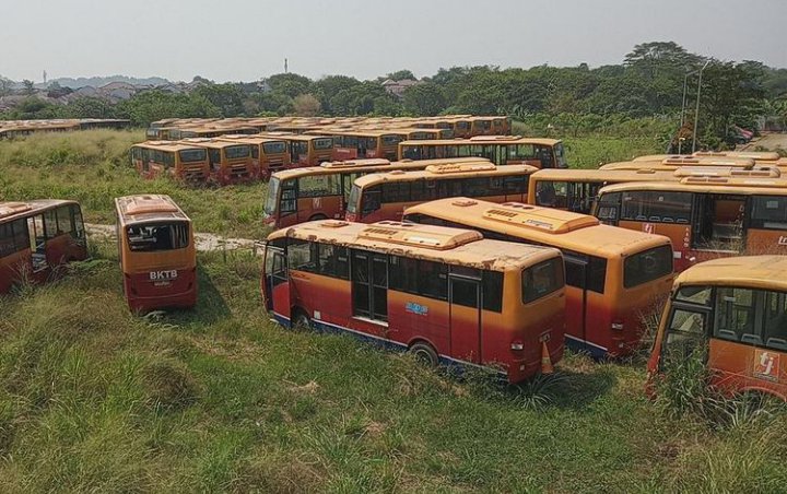 Warga Resah Soal 'Kuburan' Bus TransJakarta di Bogor, Pemilik Lahan Ngaku Hanya Dititipi