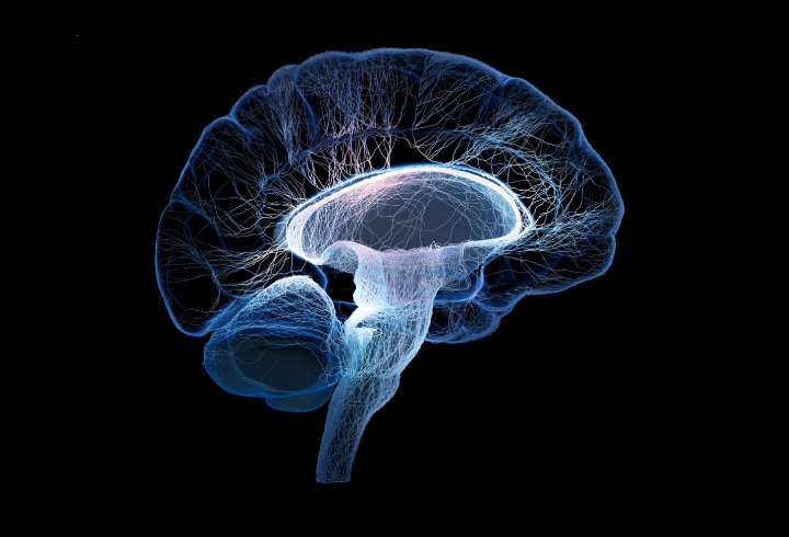 Awas, Fungsi Kognitif Otak Akan Menurun Jika Kamu Suka Bermalas-Malasan