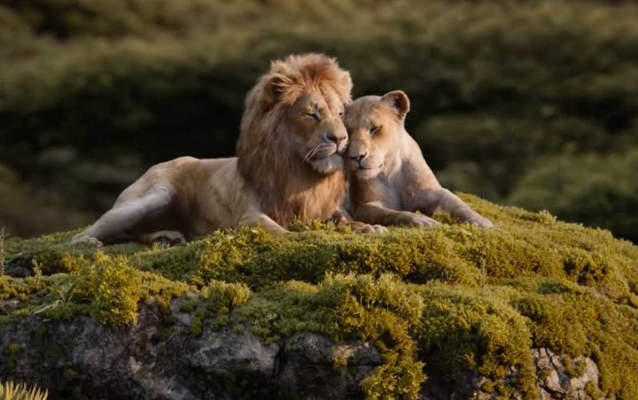Lirik Lagu The Lion King