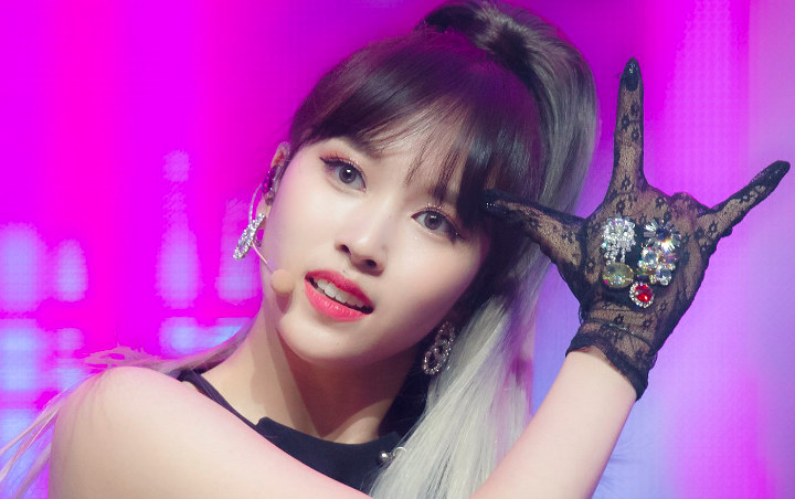 Mina Twice Balik ke Korea Bareng Sang Ibu di Tengah Masa Vakum, Ini Kata JYP Mina Twice Balik ke Korea Bareng Sang Ibu di Tengah Masa Vakum, Ini Kata JYP