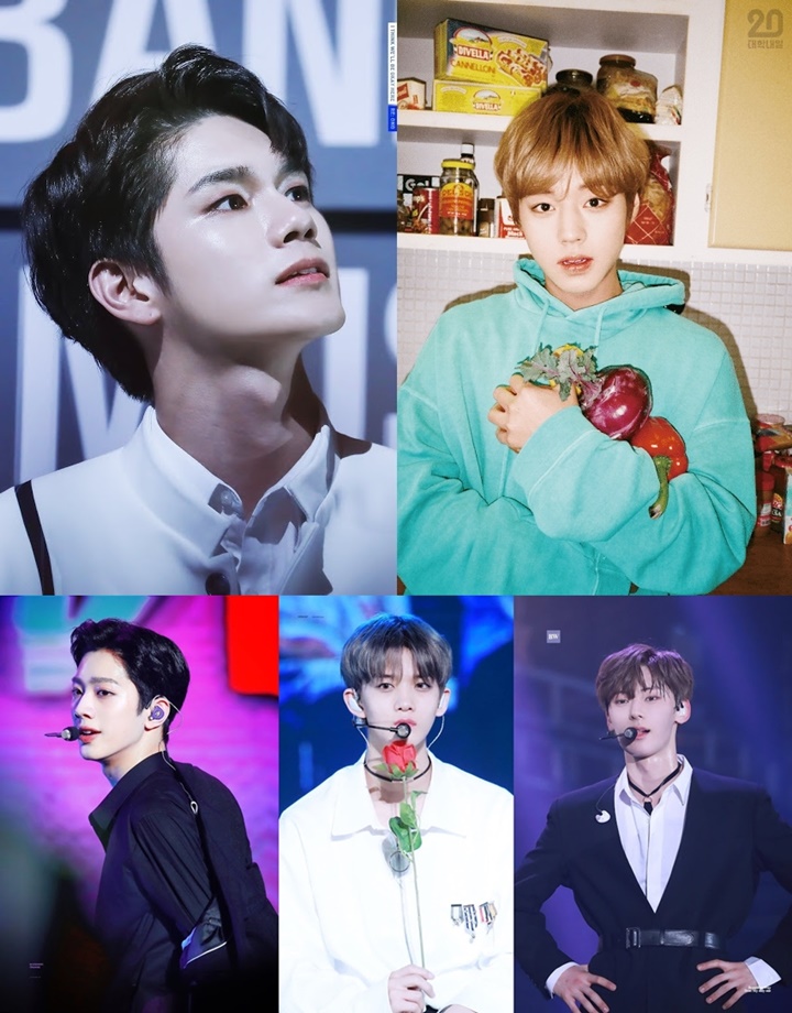 Visual Wanna One