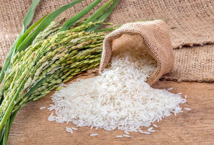 Beras Akan Tetap Aman Tanpa Kehilangan Nutrisinya Disimpan hingga Puluhan Tahun Lamanya