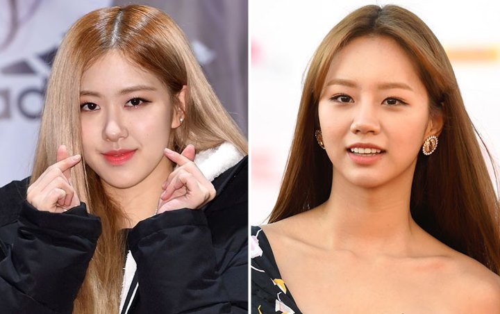 Rose BLACKPINK Cantik Bersinar di Foto-Foto Jepretan Hyeri, Netizen Kaget  Pertanyakan Ini