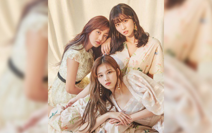 MGMA 2019: Netter Soroti Sikap Sana, Momo dan Jihyo Twice pada Kameraman