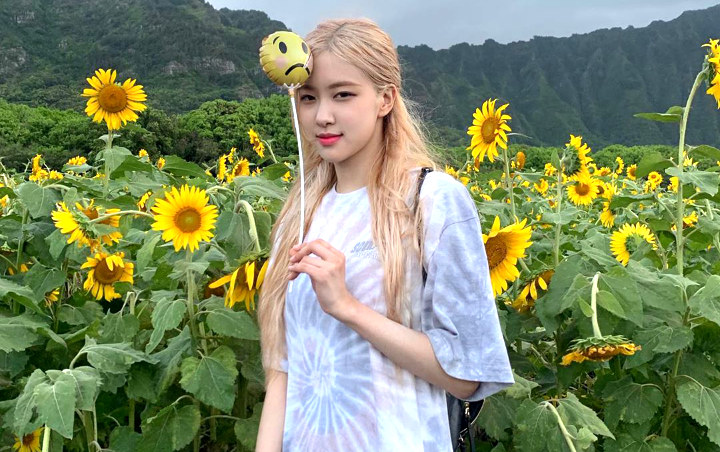 Rose BLACKPINK Ganti Tautan MV Kill This Love Di Bio IG Dengan Ini, Tanda Seketika Debut Solo? Rose BLACKPINK Ganti Tautan MV Kill This Love Di Bio IG Dengan Ini, Tanda Seketika Debut Solo?
