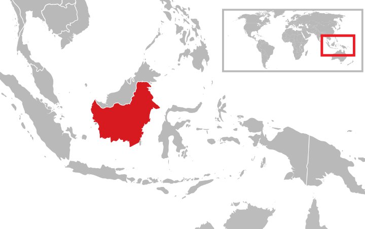 Rencana Pindahkan Ibu Kota Ke Kalimantan, Pemerintah Jual Aset Sebesar Rp 150 Triliun
