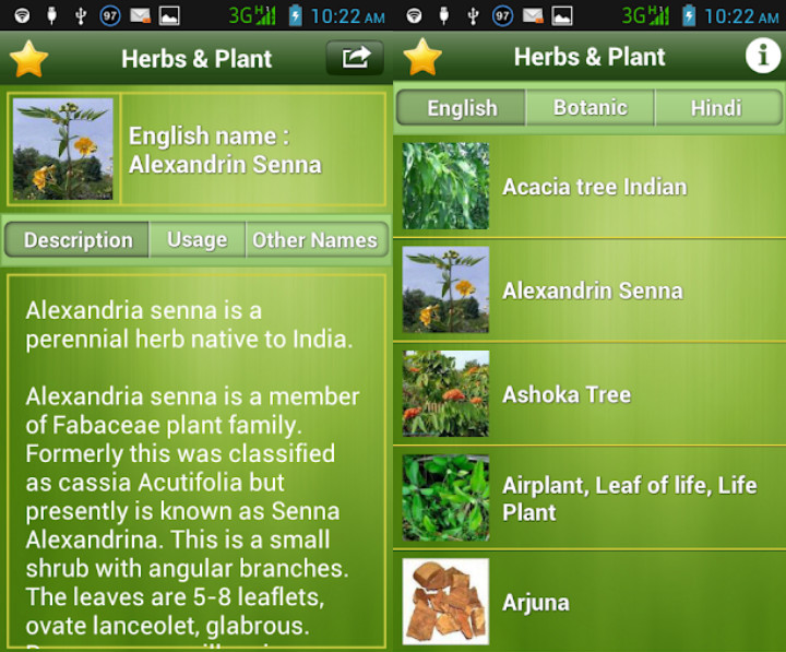 Medical Plants & Herbs Bakal Membantu Banget Saat Keadaan Darurat