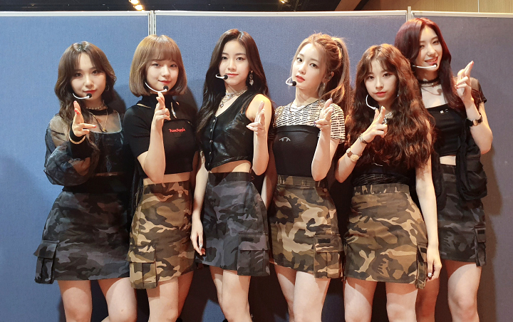 Nyanyian Rocket Punch Grup Rookie Woollim Ent Sukses Masuk Chart Komputerisasi Korea, Netter Kasih Dukungan