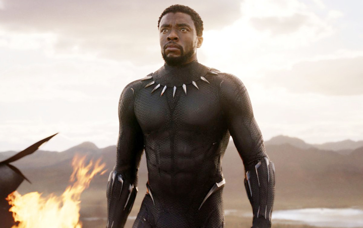 Alasan Black Panther Jadi Karakter Pertama yang Muncul dari Portal Doctor Strange di 'Endgame'