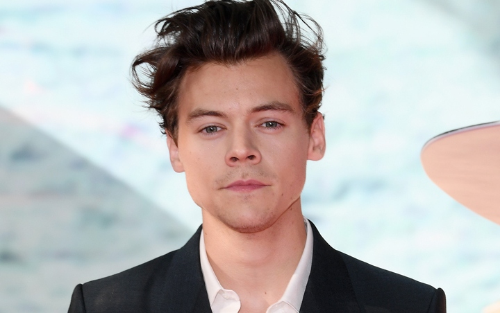 Harry Styles Tolak Peran Prince Eric di 'The Little Mermaid'