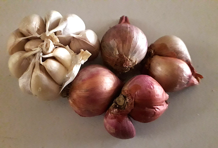 Bawang Bisa Menurunkan Risiko Kanker Pada Manusia