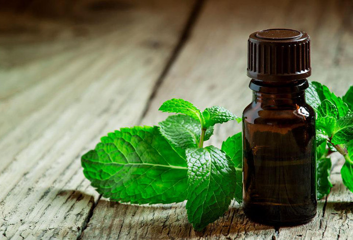 Aroma Peppermint Yang Populer Banget Di Kalangan Perempuan