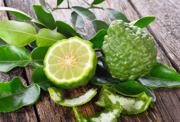 Bergamot Salah Satu Keluarga Citrus Yang Aroma Terapinya Terkenal Banget