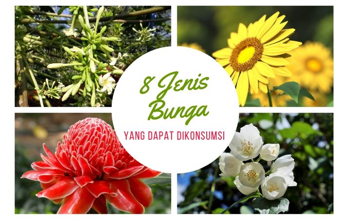 Harum Dan Bercita Rasa Unik, Yuk Intip 8 Jenis Bunga Yang Dapat Dikonsumsi!