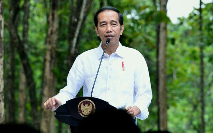 Presiden Jokowi Akhirnya Umumkan Lokasi Ibu Kota Baru di Provinsi Kalimantan Timur