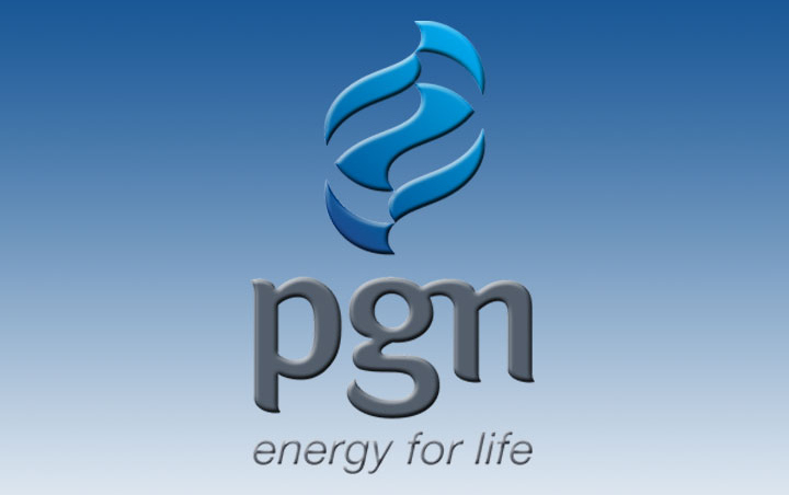 PGN Akan Lakukan Penyesuaian Harga Gas Demi Tingkatkan Layanan