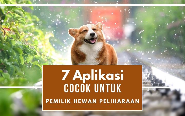 Pemilik Hewan Peliharaan Wajib Punya! 7 Aplikasi Ini Cocok Banget Bantu Rawat Hewan Kesayangan