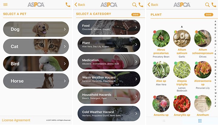 APCC by ASPCA Bakal Bantu Kalian Pilih Makanan Untuk Hewan Peliharaan