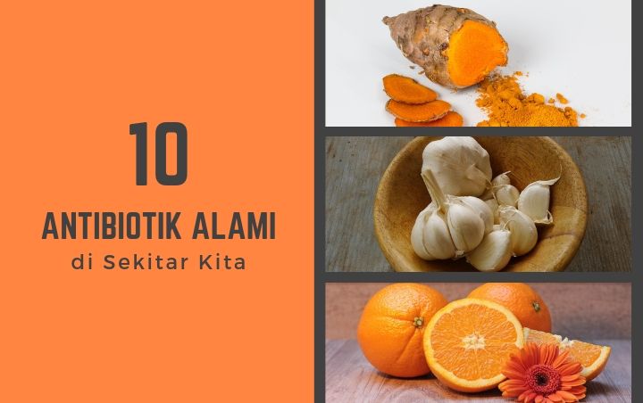 Aman dan Berkhasiat, Ini 10 Antibiotik Alami yang Ada di Sekitar Kita