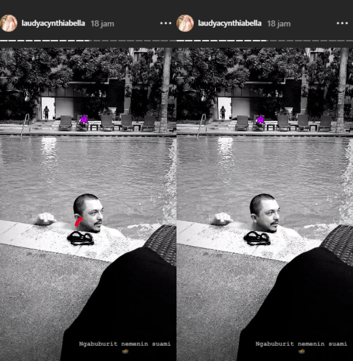 Suami Laudya Cynthia Bella