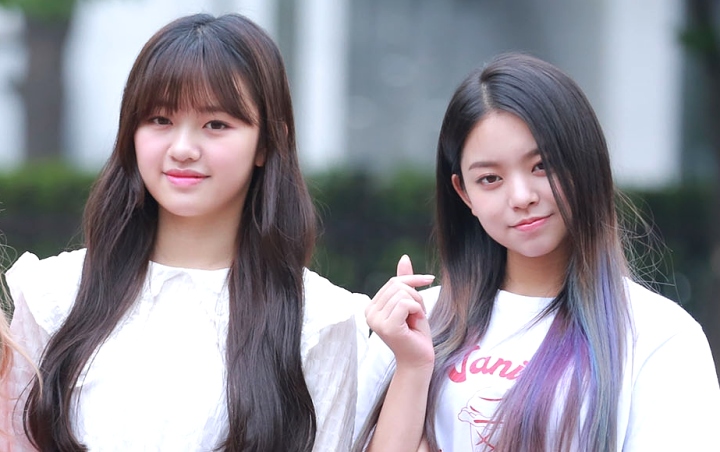 Kokoro dan Linlin 'Hilang' Dari Promosi Cherry Bullet Tanpa Penjelasan Agensi Bikin Fans Khawatir