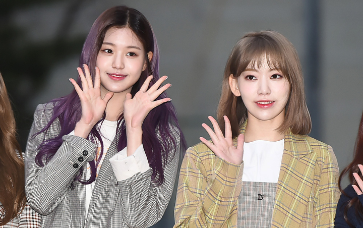 Gaya Sakura dan Jang Won Young IZ*ONE di Catwalk Dibandingkan, Hal Ini Jadi Perdebatan