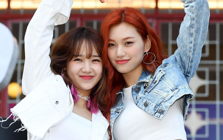 Doyeon dan Yoojung Weki Meki Ungkap Gangguan Kesehatan Ekstrem Yang Mereka Alami Sejak Jadi Idol