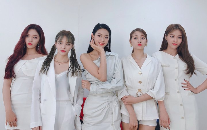 AOA Kebanjiran Fans Baru Berakhir Cover Nyanyian Mamamoo Egoistic di Queendom