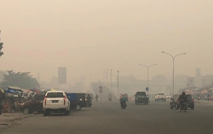 Tak Hanya Makan Korban, Kabut Asap Juga Bikin Tagihan Listrik Warga Riau Bengkak