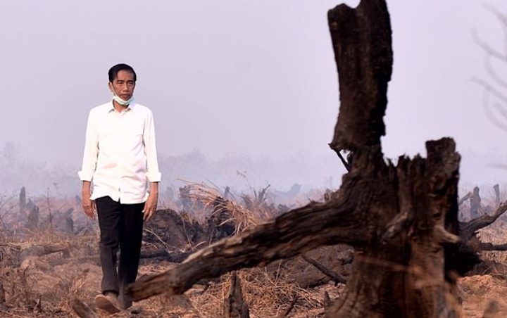 Soal Karhutla, Jokowi Diminta Berani Blak-blakan Ungkap Data HGU Hutan