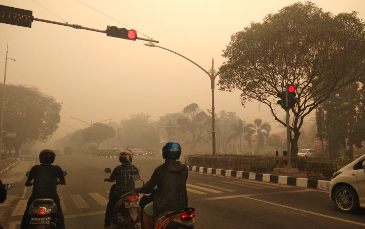 Ribuan Orang di Kalteng Terdeteksi Kena Infeksi Saluran Pernapasan Akut Gara-Gara Karhutla