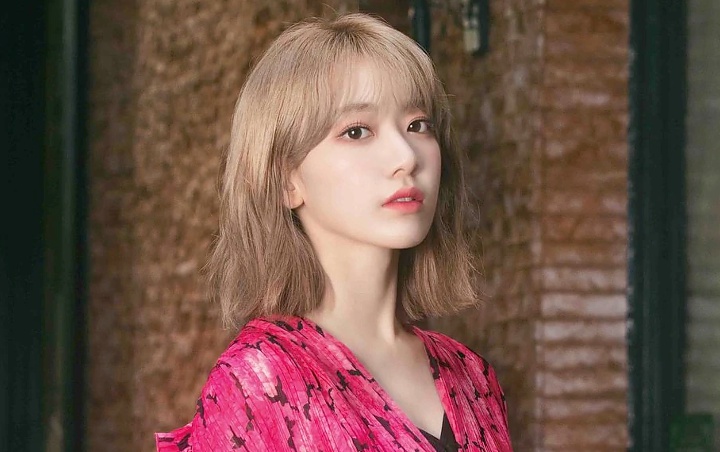 Visual Sakura di AKB dan IZ*ONE Dibandingkan Hingga Picu Perdebatan