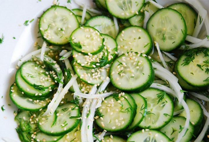 Shieldzini Salad Kaya Rasa Yang Berasal Dari  Jepang