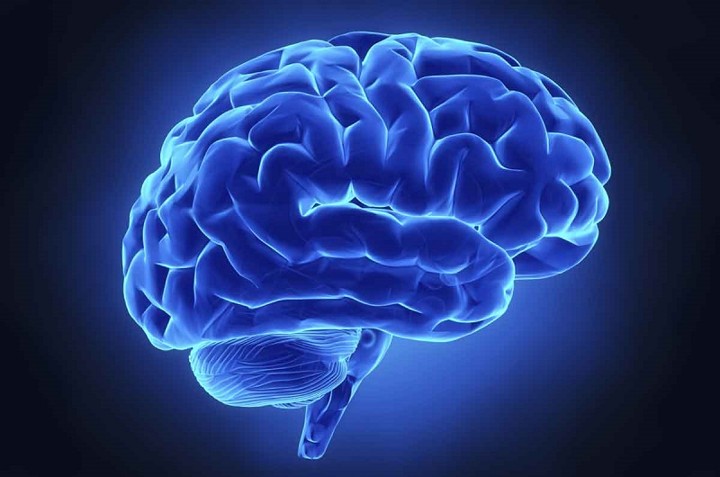 Jaga Kesehatan Otak dengan Mengkonsumsi Pisang Setiap Hari