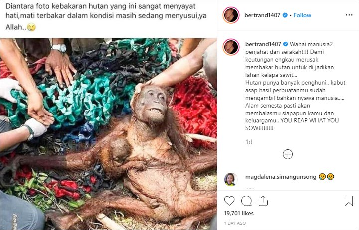 Bertrand Antolin Ngamuk