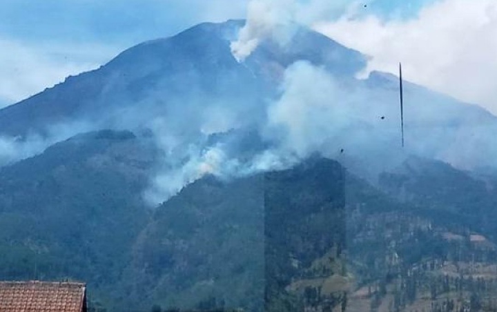 Lahan Hutan Seluas 5,5 Hektare Di Lereng Gunung Sumbing Terbakar