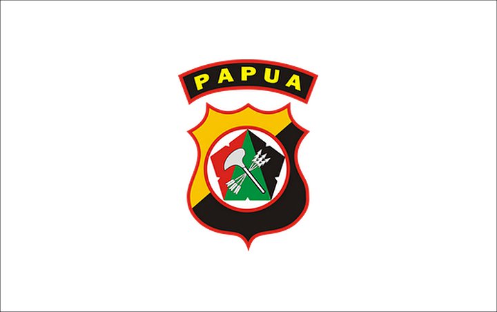 Polda Papua Tangkap 733 Orang Usai Kerusuhan Di Waena Jayapura