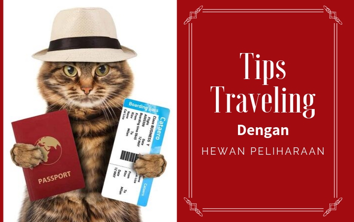 Tips Membawa Hewan Peliharaan Saat Bepergian Bersama Tips Membawa Hewan Peliharaan Saat Bepergian Bersama