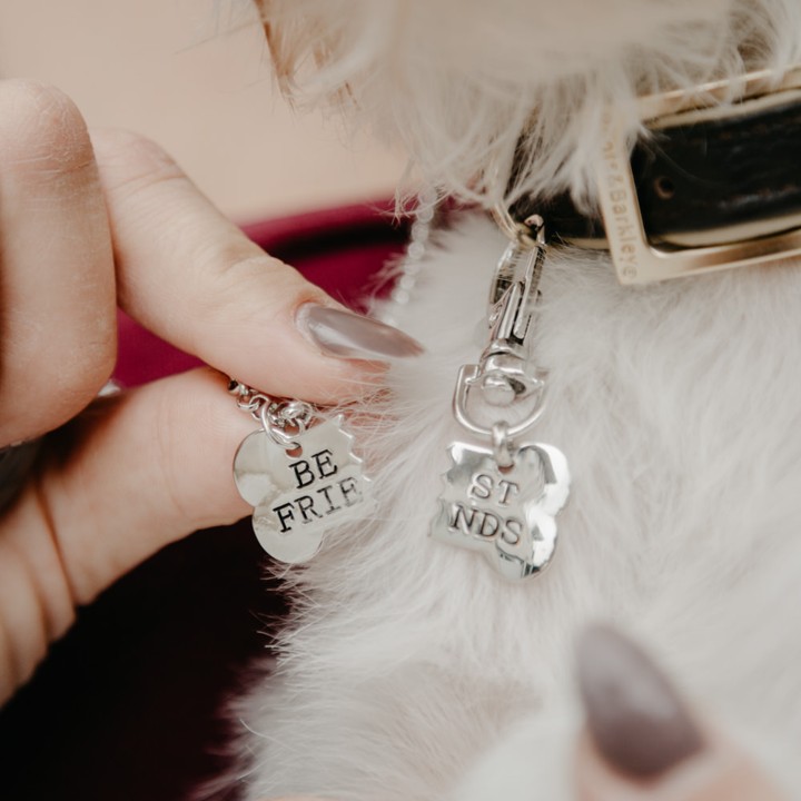 Yang Paling Penting, Berikan Kalung Dengan Identitas Jelas