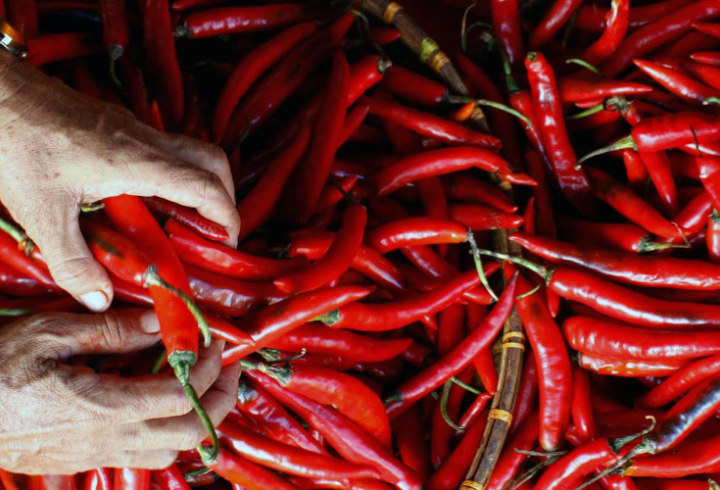 Sebelum Membuat Sambal, Pilih Bahan-Bahan yang Segar dan Berkualitas