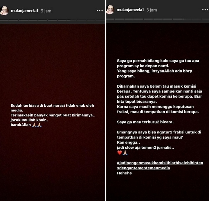 Mulan Jameela Klarifikasi Soal Program Kerja