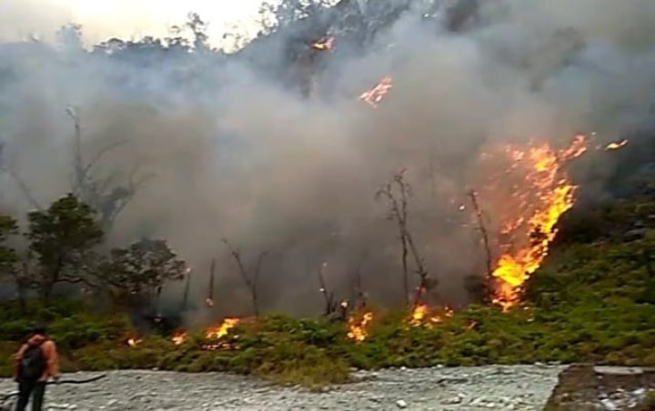 Kesulitan Tangani Kebakaran Di Kawah Putih, Pemkab Bandung Minta Bantuan BNPB